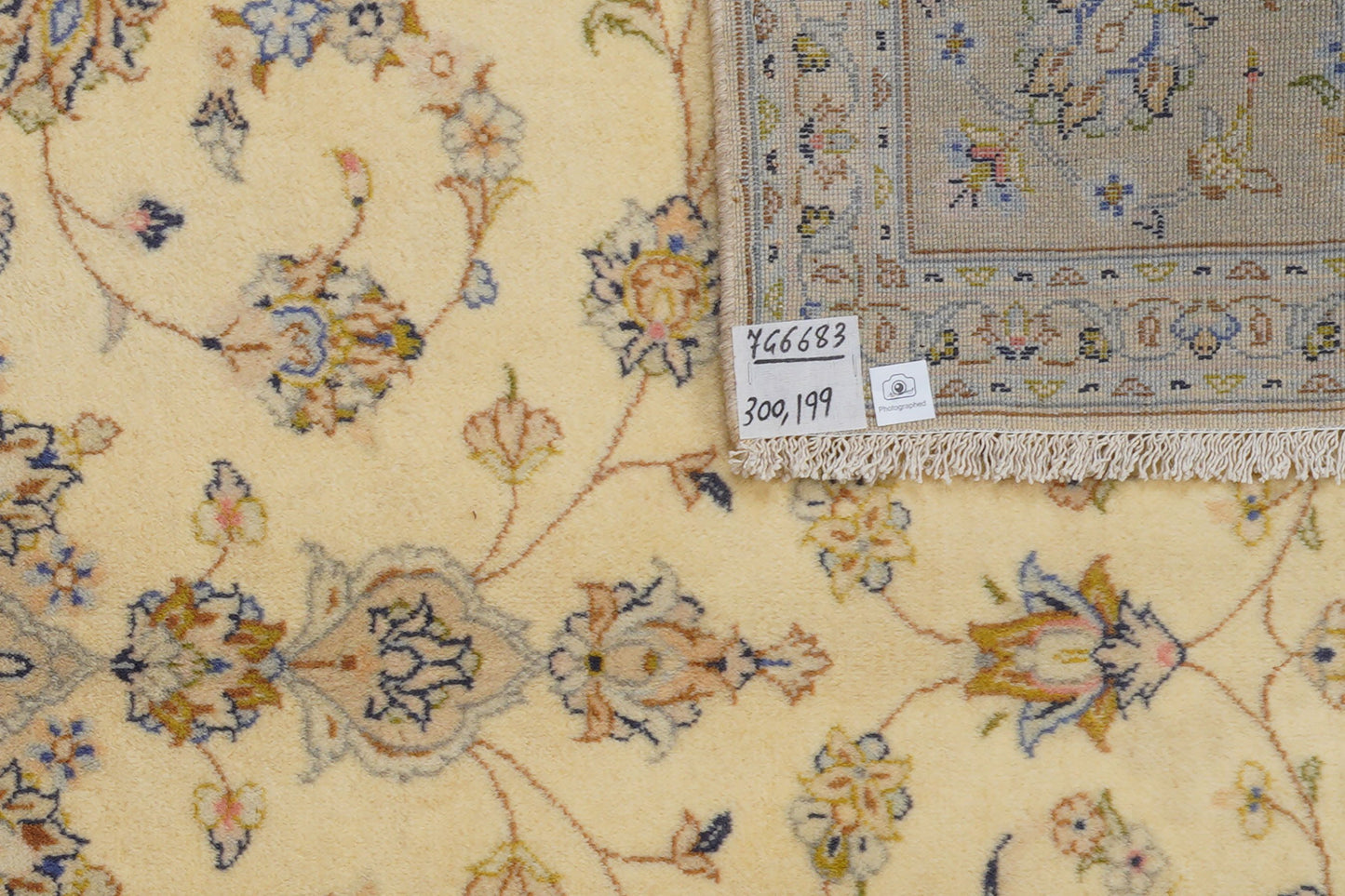 Ardakan 300x199cm Carpet Vintage