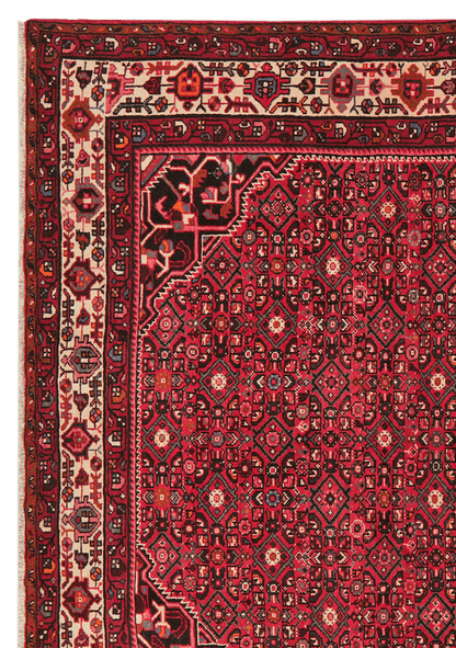 Hosseinabad 291x205cm Carpet Vintage