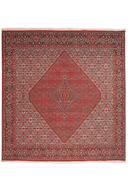 Bidjar Zandjan 208x201cm Carpet Vintage