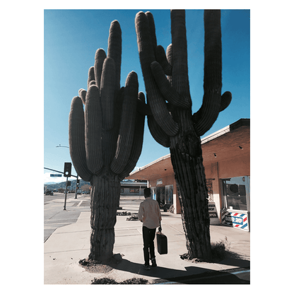 Cactus on the road - Signed print Cactus by Océane BURET