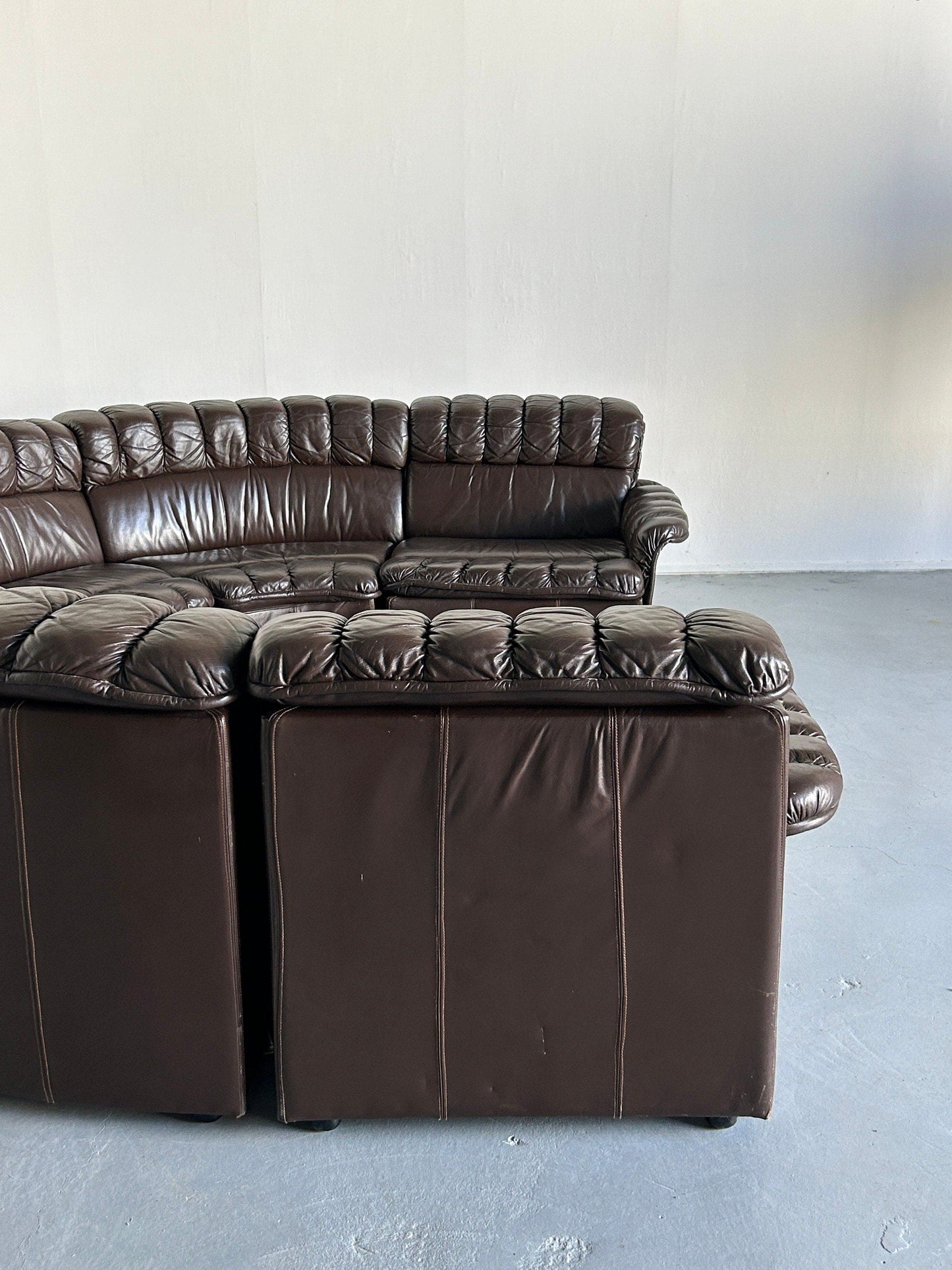 Mid-Century Modern Leather Sofa Snake Sofa in the style of De Sede DS-600 Non-Stop, 1970s West Germany Modular Seating Set Vintage