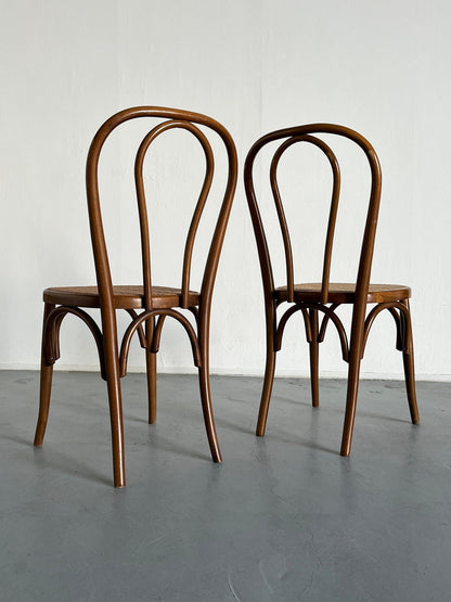 Set of 4 Thonet Bentwood Style Chairs No. 14 / European Cafe Dining Chairs, 1950s Vintage