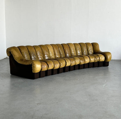 De Sede DS-600 ''Non Stop'' Sectional Sofa by Ueli Berger, Eleanora Peduzzi-Riva and Hans Ulrich, 1970s Early Model, Set of 2 14 Vintage