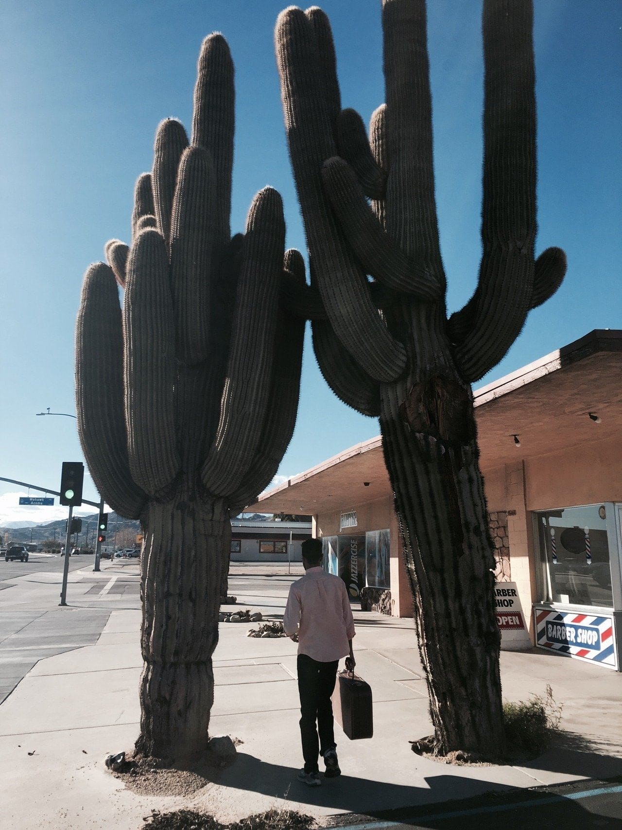 Cactus on the road - Signed print Cactus by Océane BURET